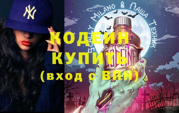 индика Новодвинск