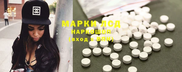 индика Новодвинск