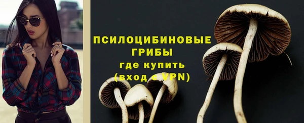индика Новодвинск