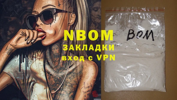 индика Новодвинск