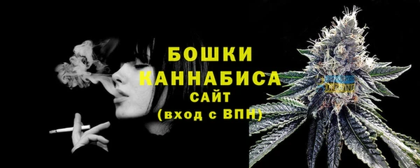 индика Новодвинск