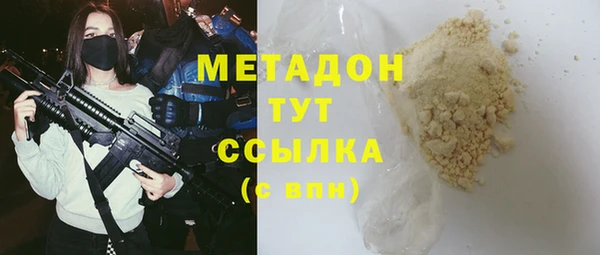 индика Новодвинск