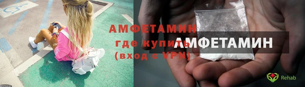 индика Новодвинск