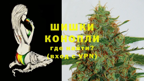 индика Новодвинск