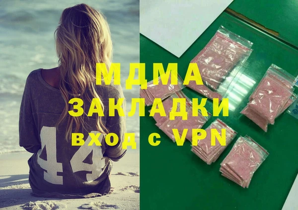 индика Новодвинск