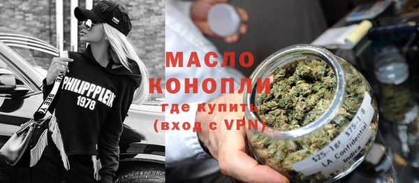 индика Новодвинск
