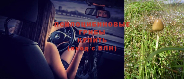 каннабис Нефтекумск