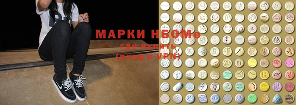 индика Новодвинск