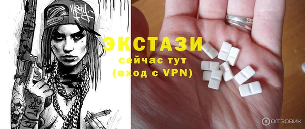 индика Новодвинск