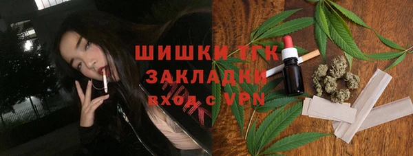 индика Новодвинск