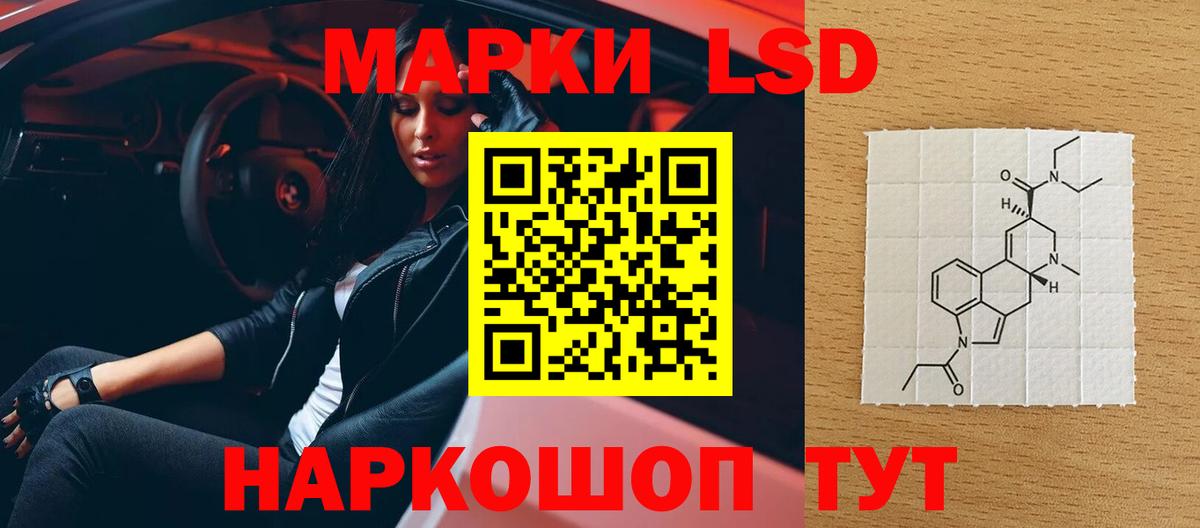 KRAKEN tor  LSD-25 экстази  Нефтекумск  Вход с VPN  ЛСД экстази кислота 
