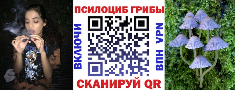 Псилоцибиновые грибы Cubensis  Нефтекумск 