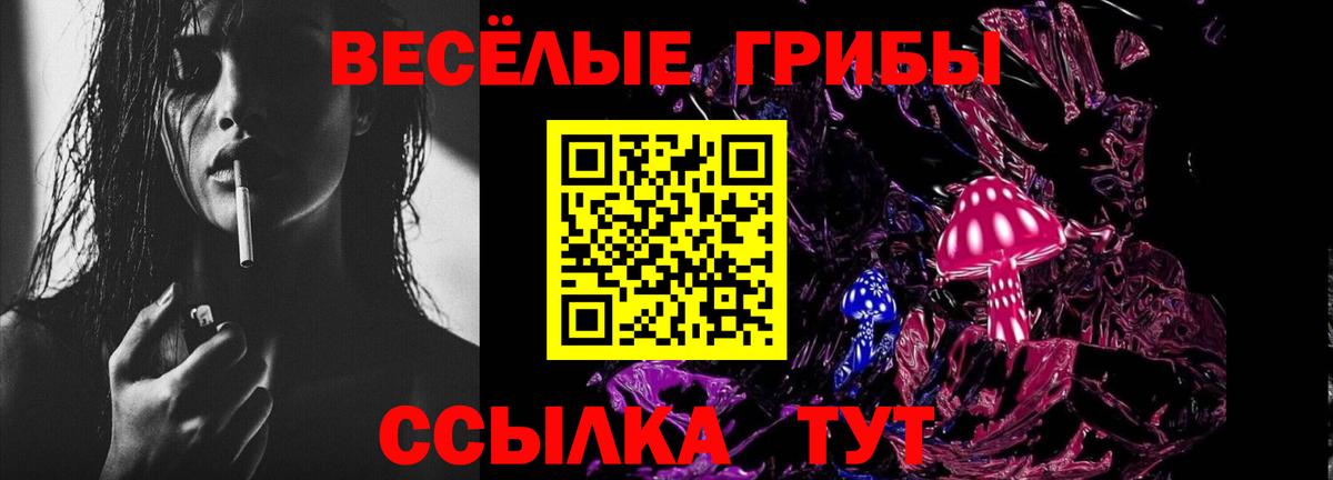 Псилоцибиновые грибы MAGIC MUSHROOMS Нефтекумск